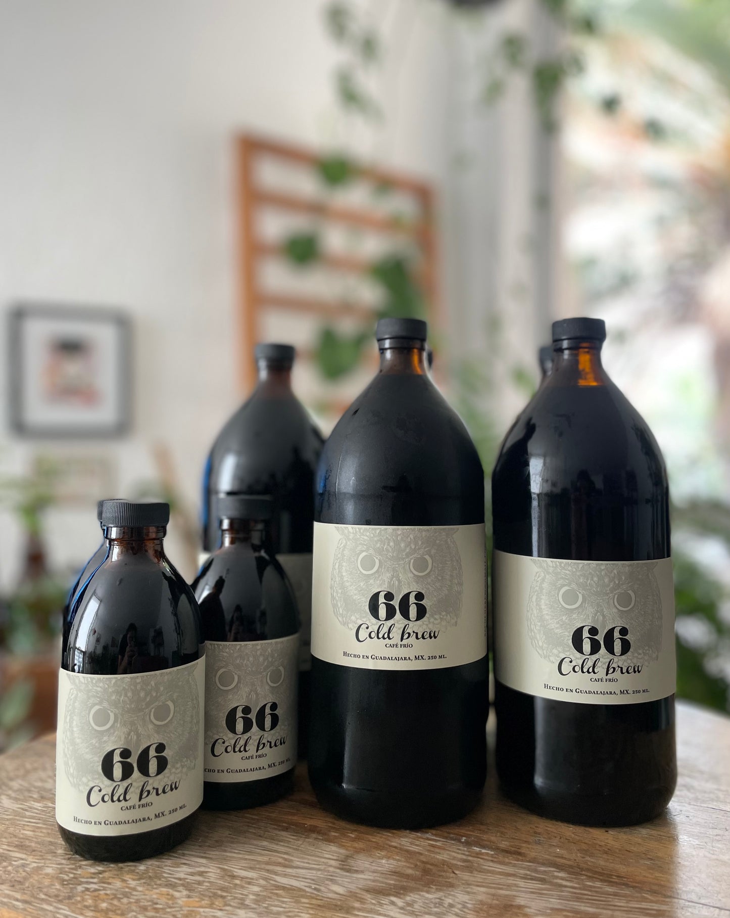 66 Coldbrew