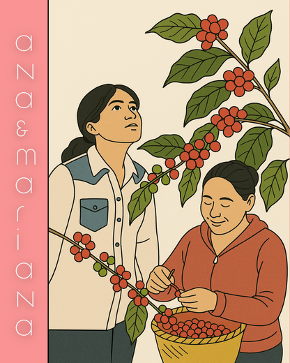 Ana & Mariana
